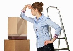 professional removal service